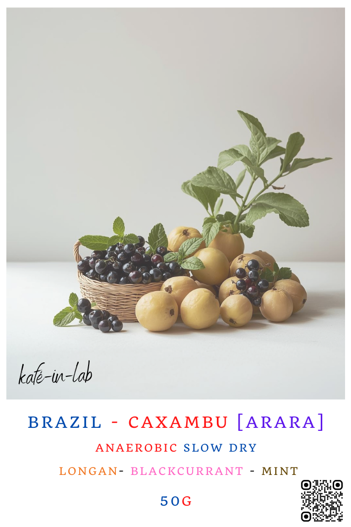 Arara || Brazil, Caxambu - 50g