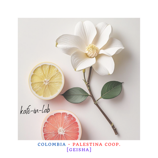 Geisha  || Colombia, Palestina COOP - 50g