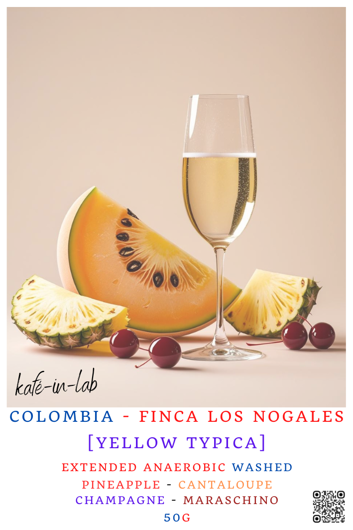 Yellow Typica || Colombia, Los Nogales - 50g