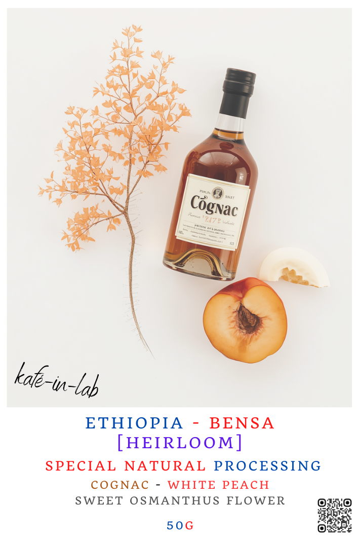 Heirloom || Bensa - Ethiopia
