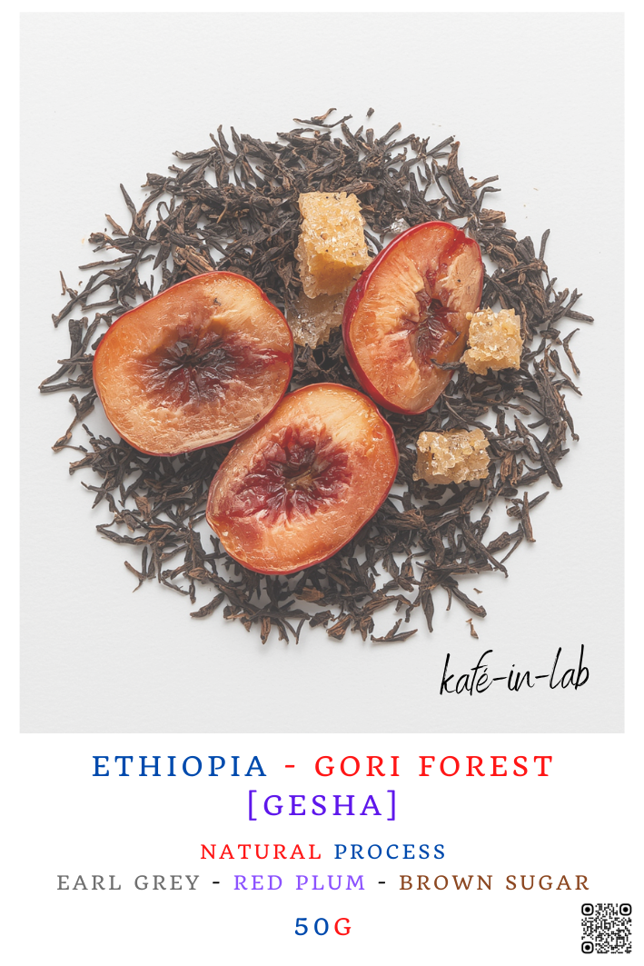 Gesha || Gori - Ethiopia