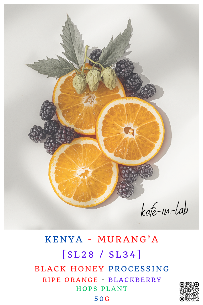 SL28 || Murang'A - Kenya
