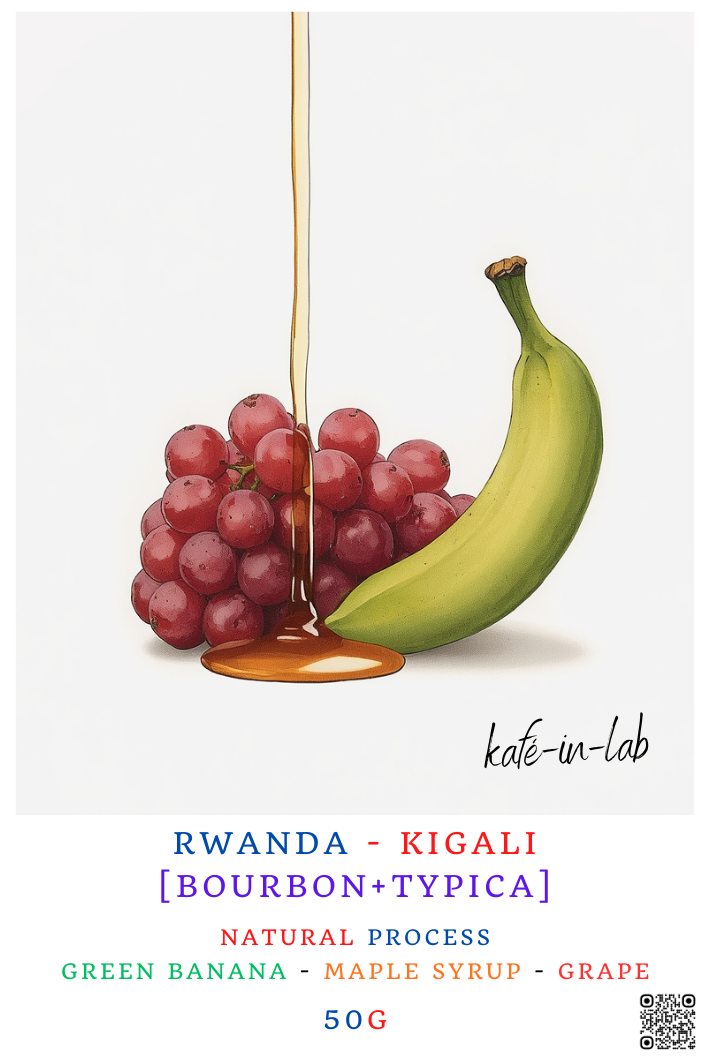 Typica || Kigali, Rwanda