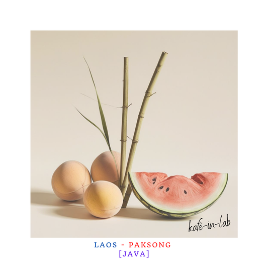 Java || Paksong, Lao PDR