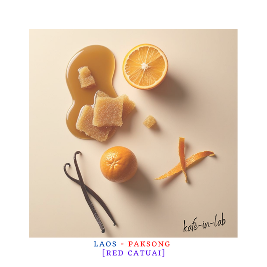 Red Catuai - Arabica || Paksong, Lao PDR