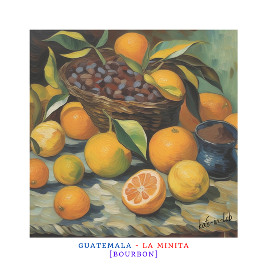 Bourbon || Guatemala, La Minita - 50g