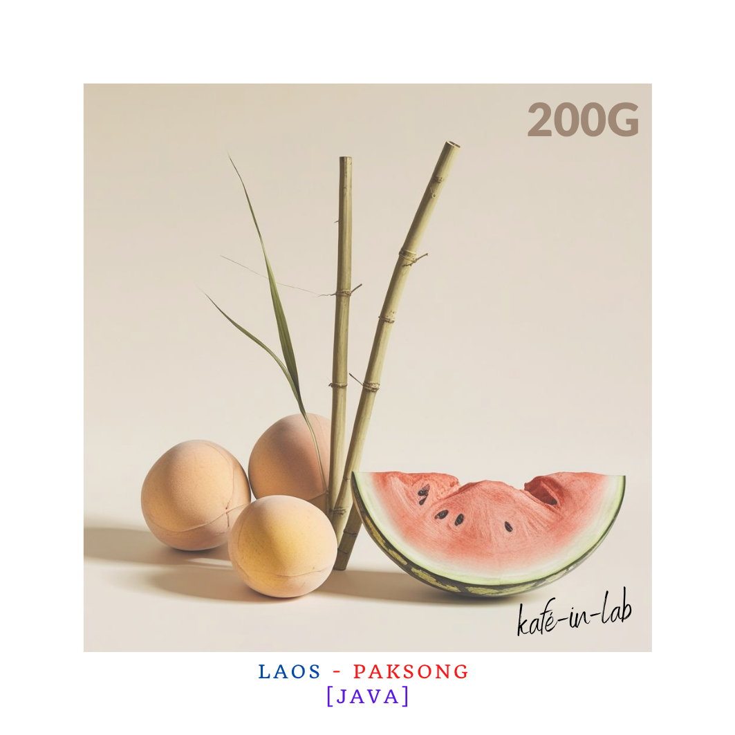 Java || Paksong, Lao PDR