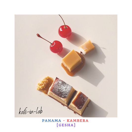 Gesha || Panama, Kambera - 50g