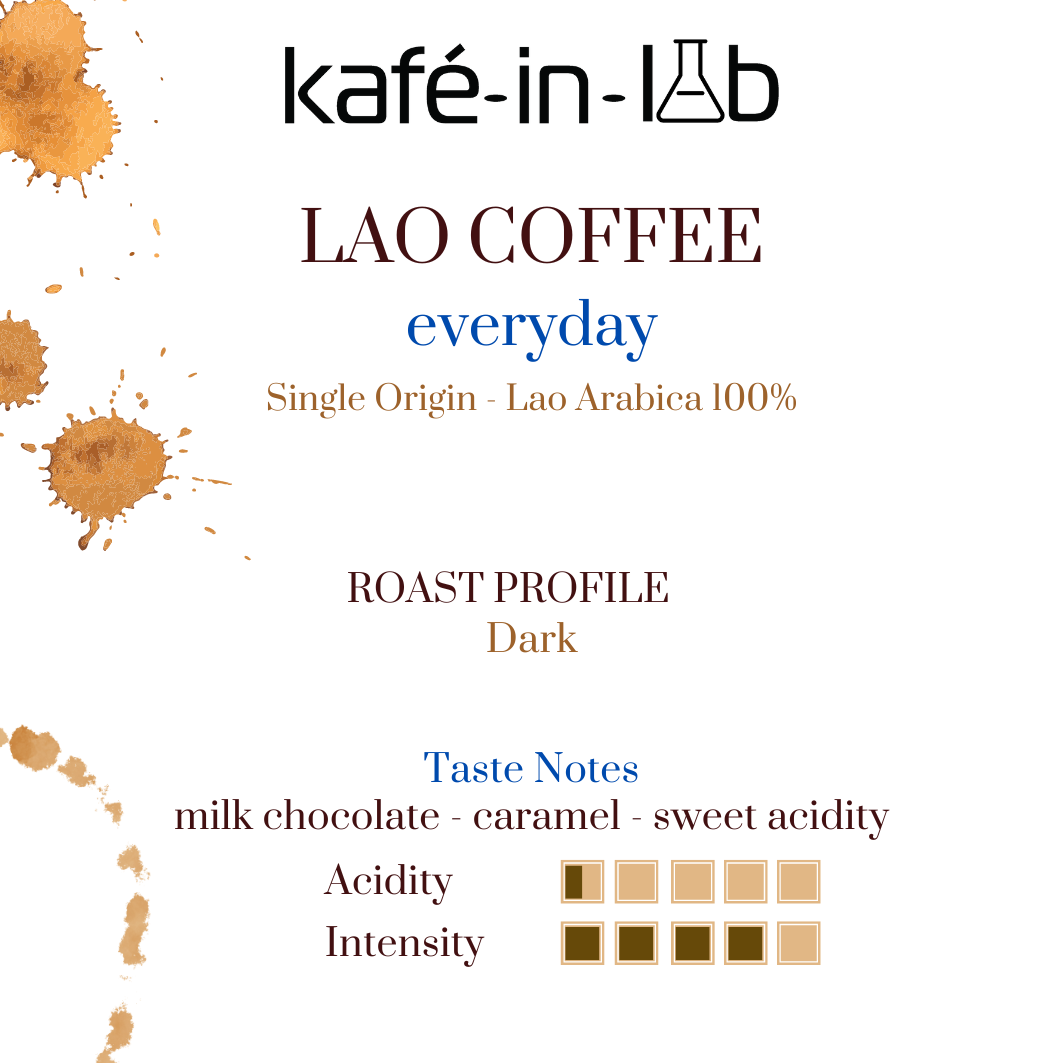 Lao Everyday - Dark