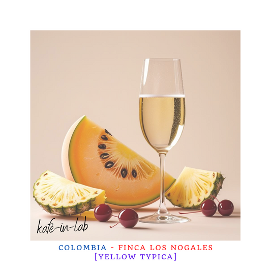 Yellow Typica  || Colombia, Los Nogales - 50g