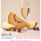 Yellow Typica  || Colombia, Los Nogales - 50g