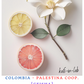 Geisha  || Colombia, Palestina COOP - 50g