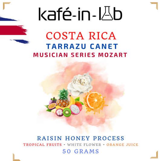 Musician Series- Mozart || Costa Rica, Raisin Honey - 50g