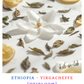 Heirloom || Yirgacheffe - Ethiopia