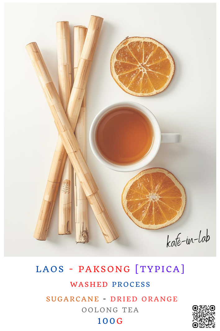 Typica || Paksong, Lao PDR
