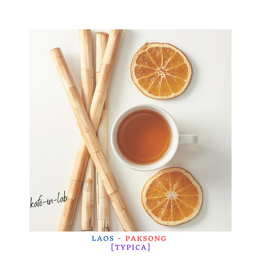 Typica || Paksong, Lao PDR