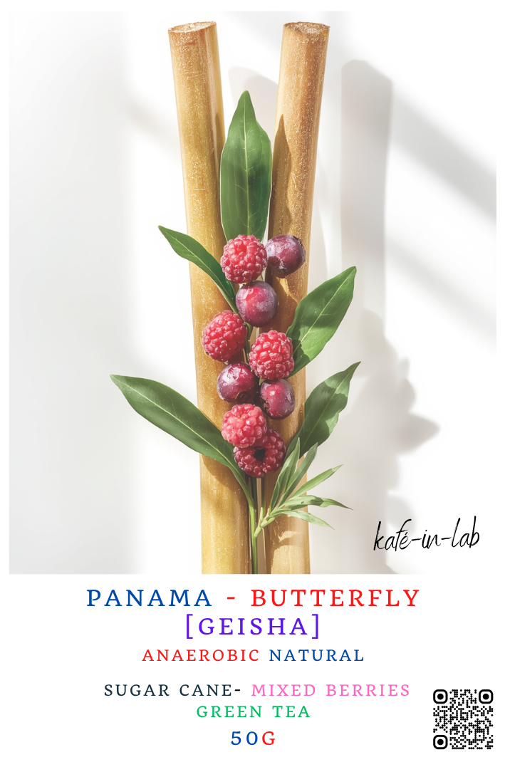 Geisha || Butterfly - Panama