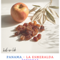 Geisha || Esmeralda - Panama