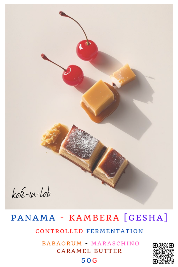 Gesha || Panama, Kambera - 50g