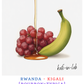 Typica || Kigali, Rwanda