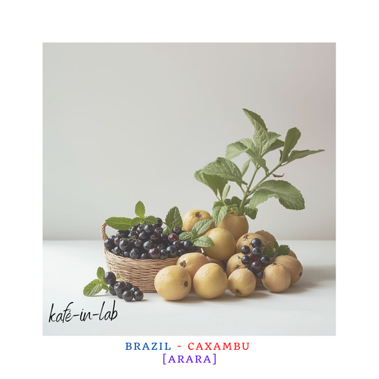 Arara || Brazil, Caxambu - 50g