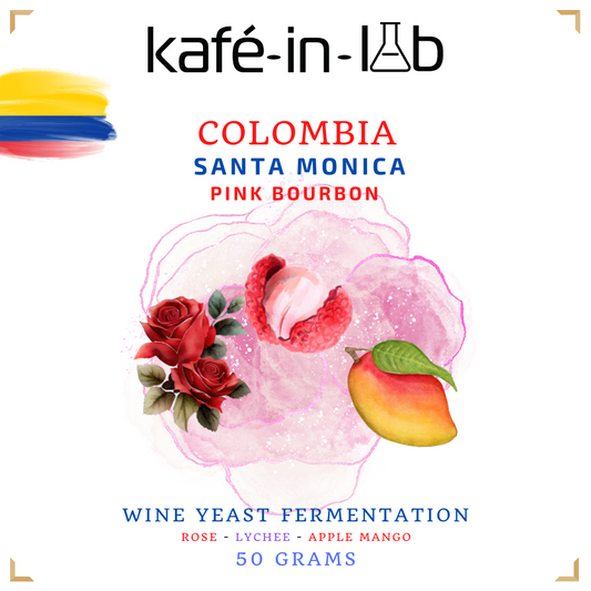 Pink Bourbon || Colombia, Santa Monica - 50g