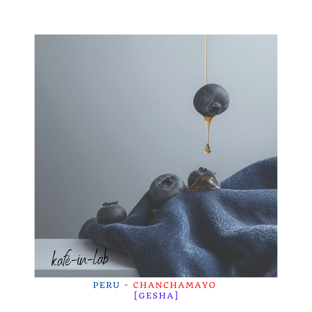 Gesha || Peru, Chanchamayo - 50g