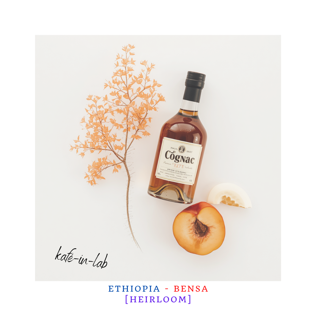 Heirloom || Bensa - Ethiopia