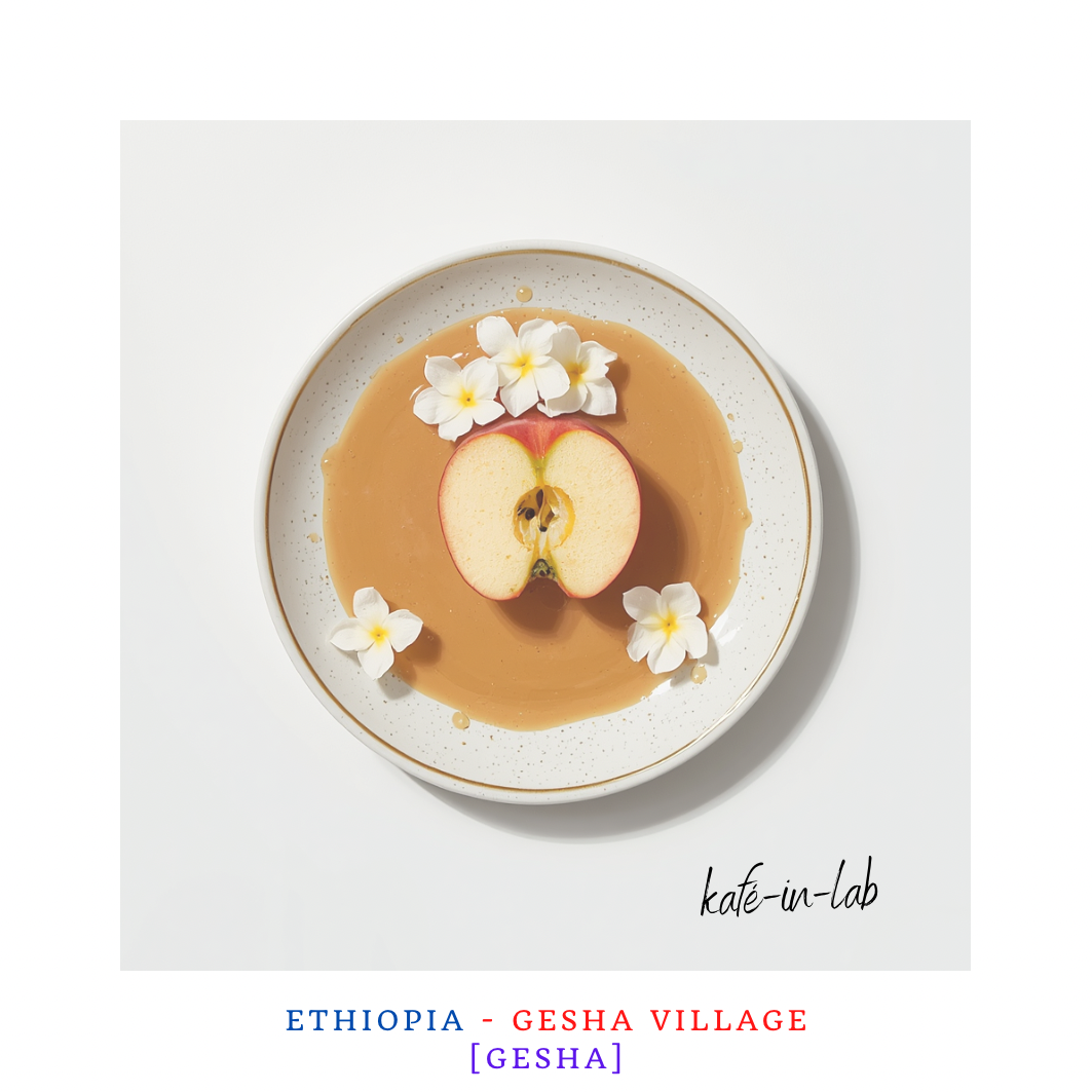 Gesha || Gesha Village - Ethiopia