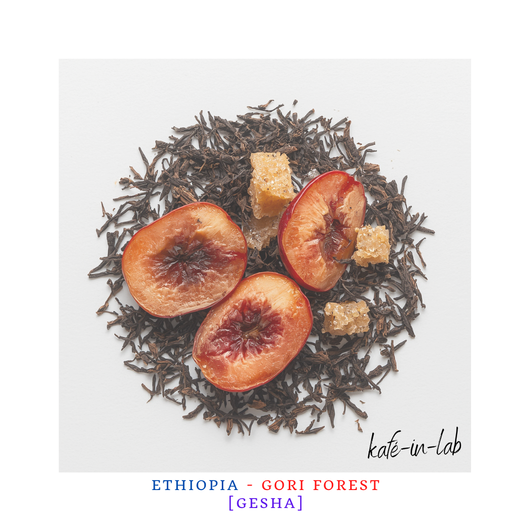 Gesha || Gori - Ethiopia