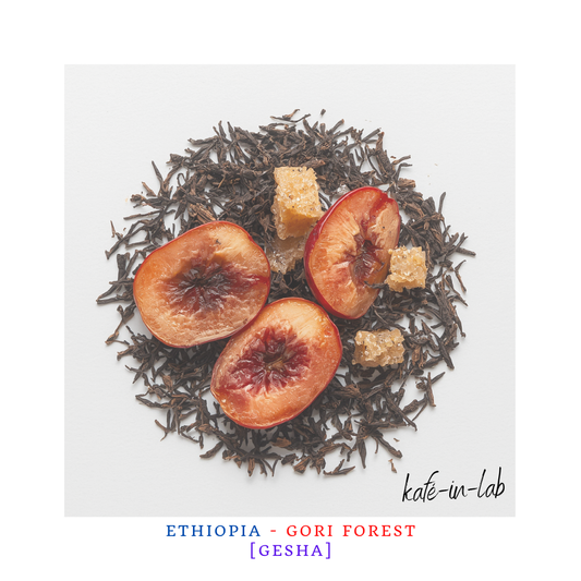 Gesha || Gori - Ethiopia