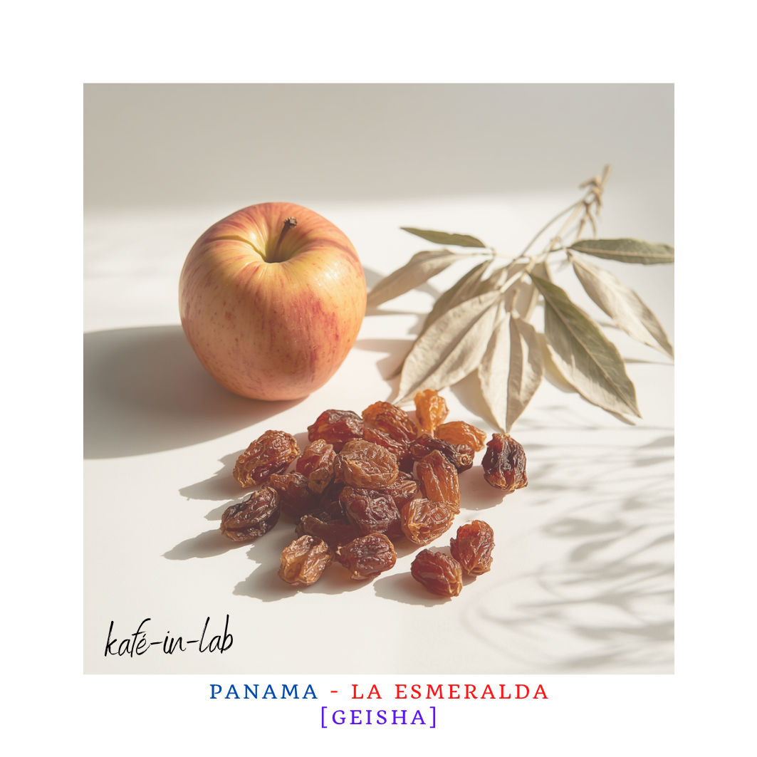 Geisha || Esmeralda - Panama