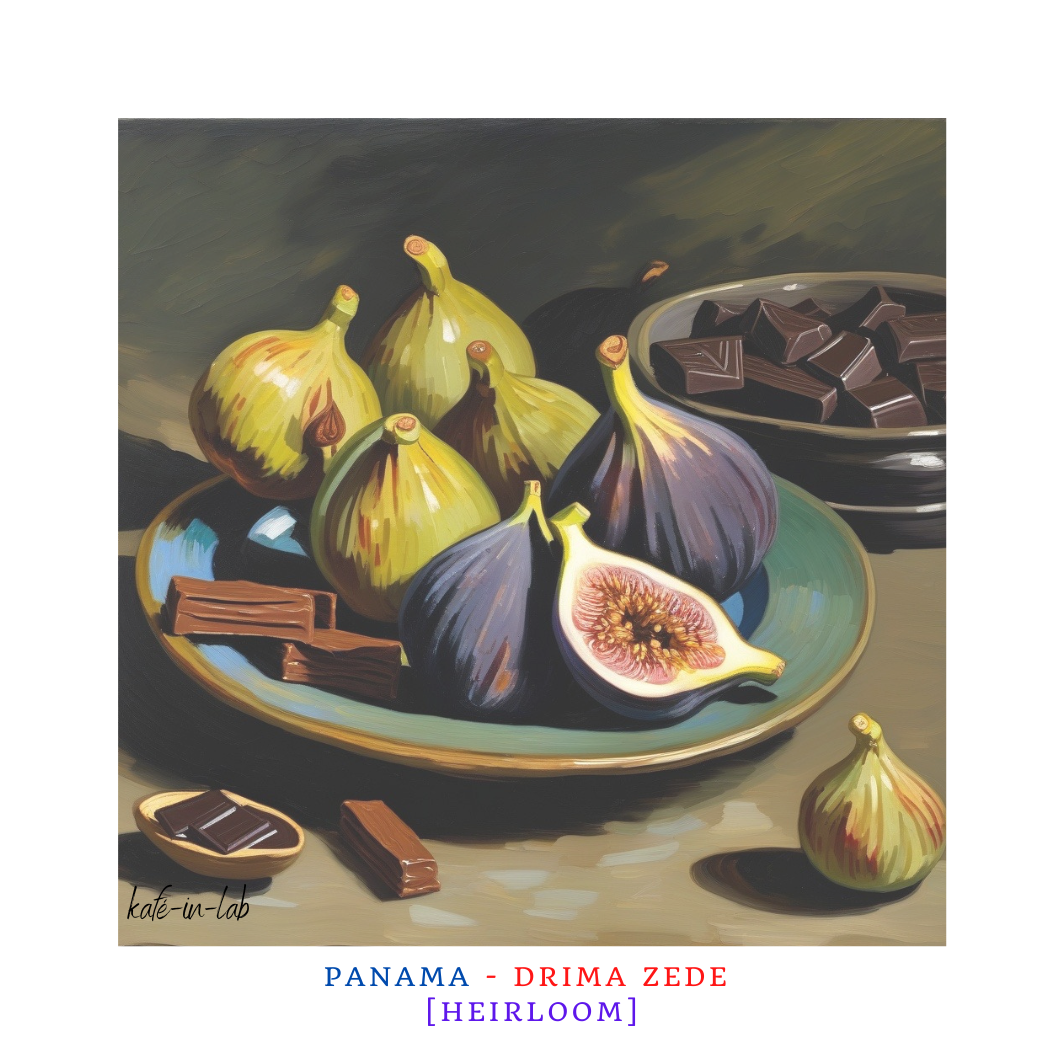 Heirloom || Panama, Drima Zede - 50g