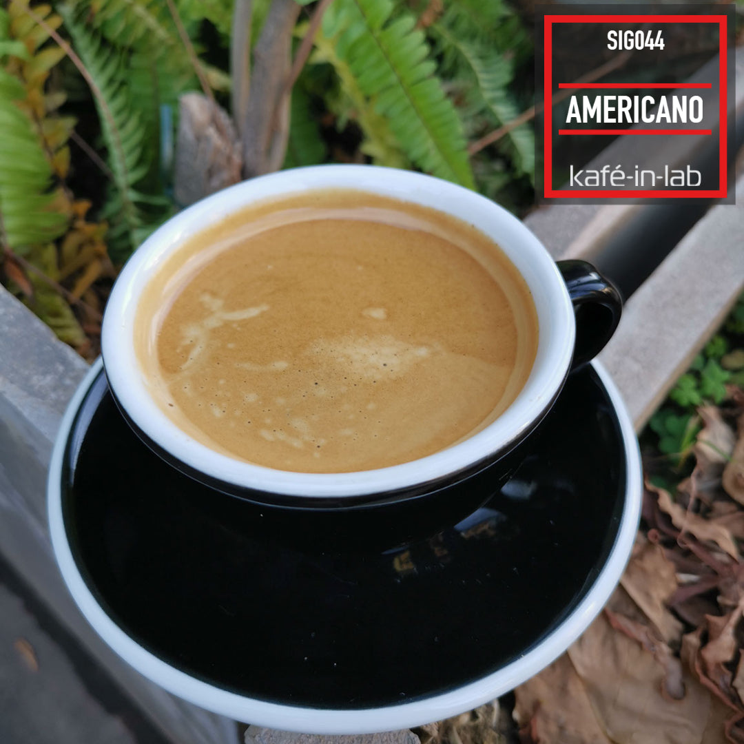 Americano - Hot